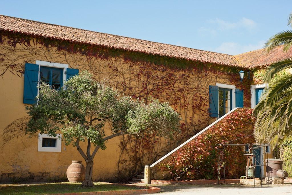 Quinta Do Campo Guest House Назаре Екстериор снимка